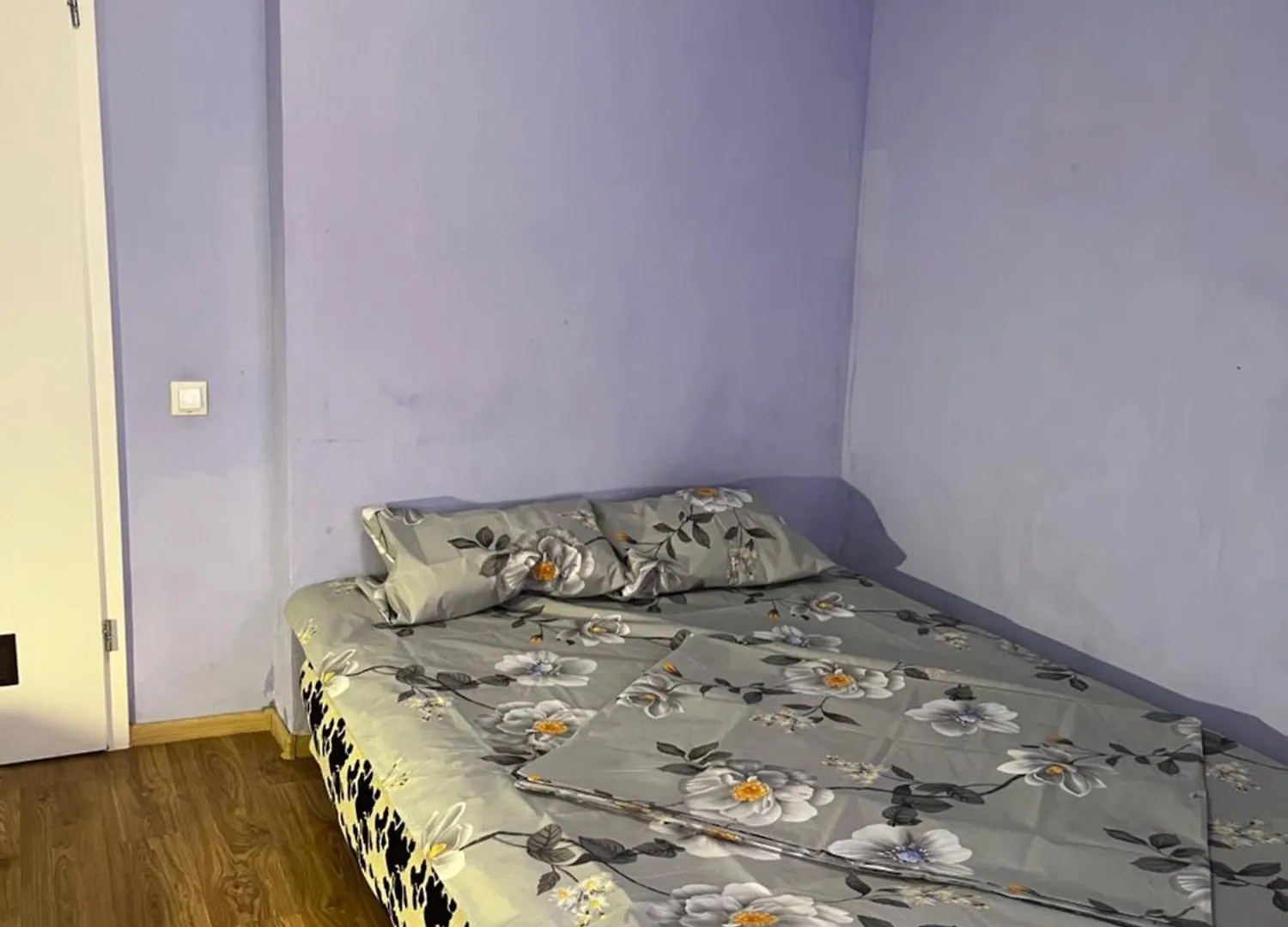 Ararat-Borschagovskaya Hostel Kyiv 0*,